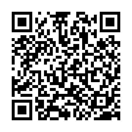 QR code for SVG211