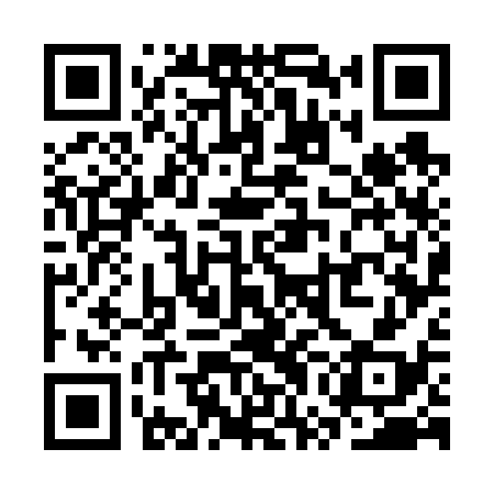 QR code for SWG638