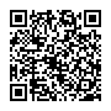 QR code for SX03699