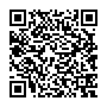 QR code for SX40382