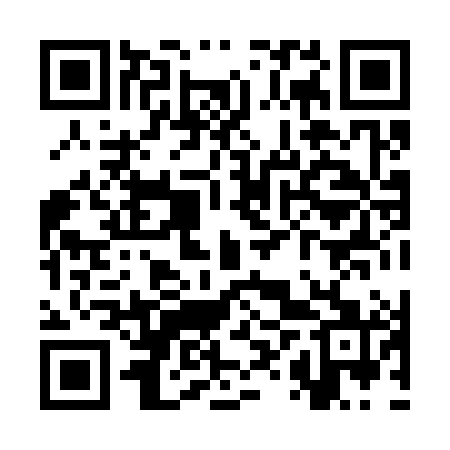 QR code for SXX381