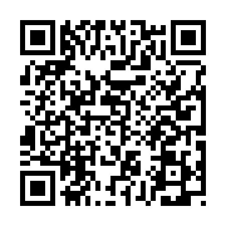 QR code for SY03295