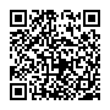 QR code for SYI313