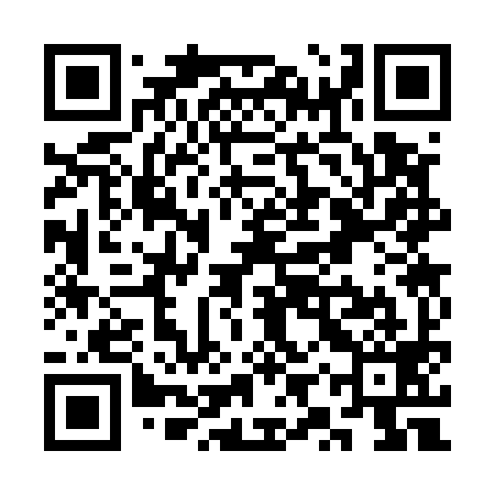 QR code for SYS599