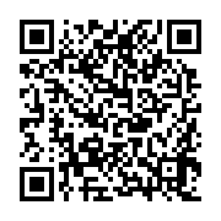 QR code for SYZ398