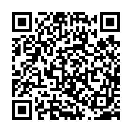 QR code for T00653