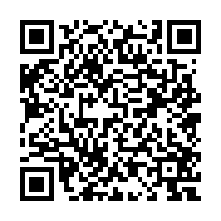 QR code for T007065