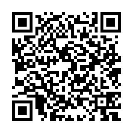 QR code for T007381