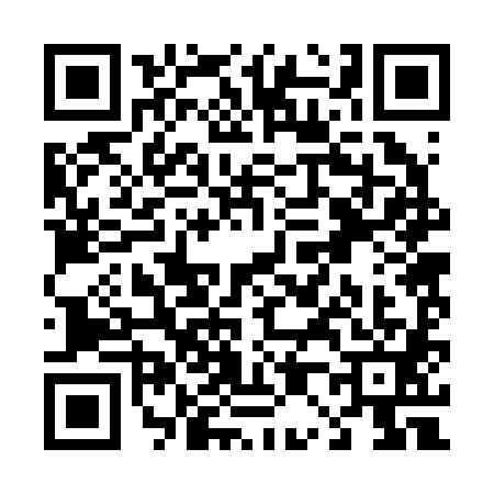 QR code for T022813