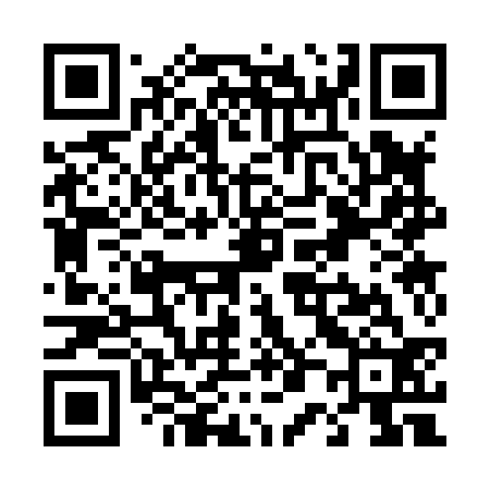 QR code for T03832