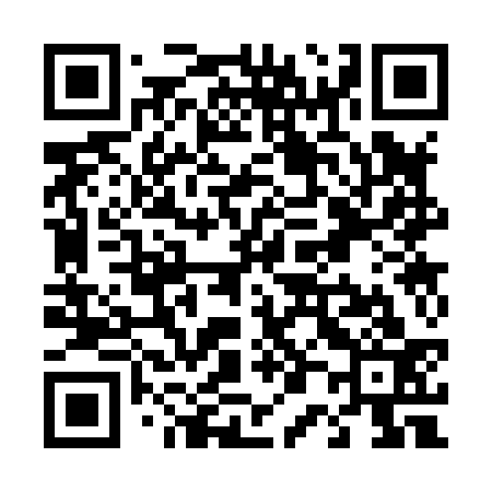 QR code for T03833