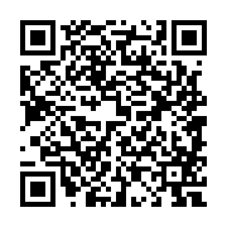 QR code for T041877