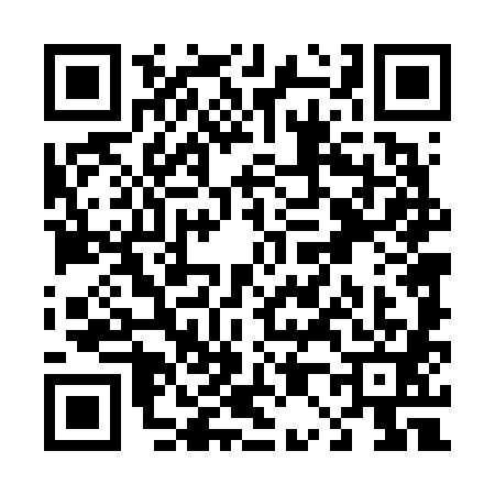 QR code for T046819
