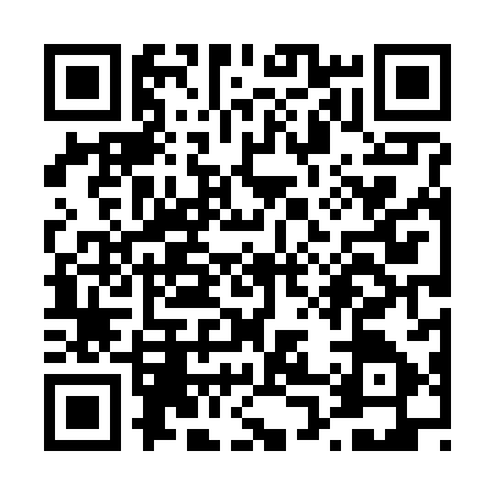 QR code for T046870