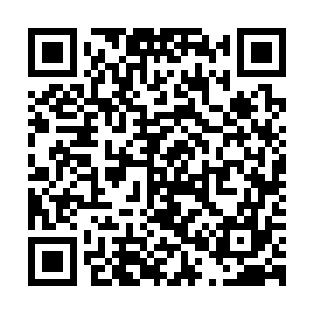 QR code for T06377
