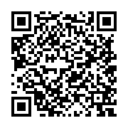 QR code for T078029