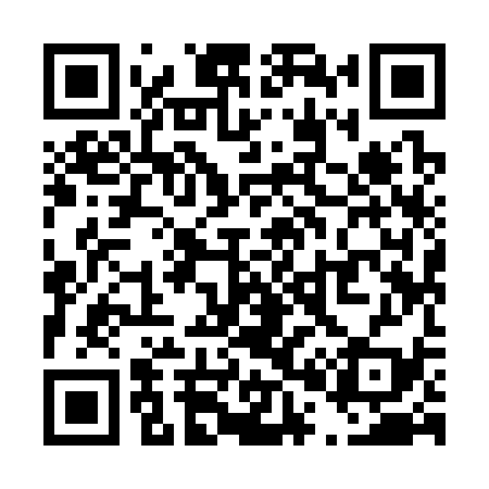 QR code for T09339