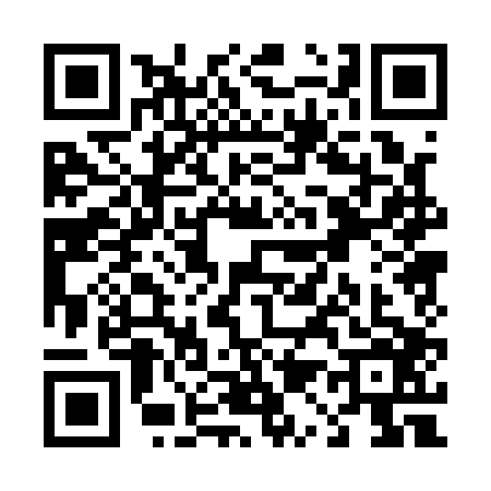 QR code for T101063