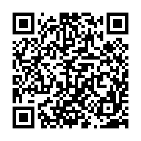 QR code for T11096