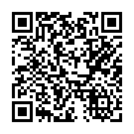 QR code for T11145