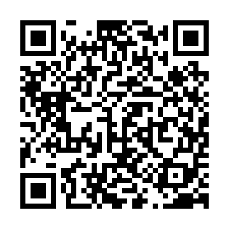 QR code for T11259