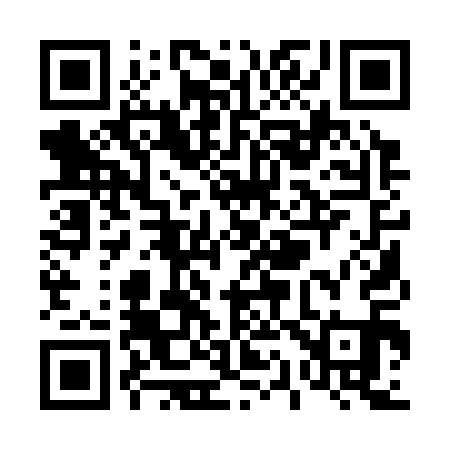 QR code for T11311