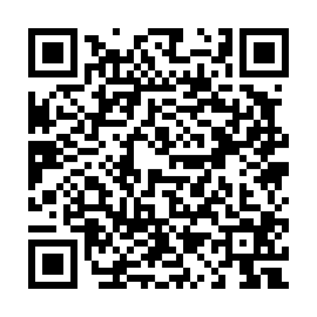 QR code for T114046