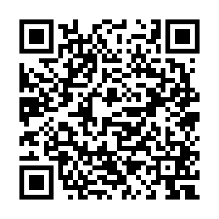 QR code for T116411