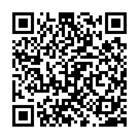 QR code for T11731