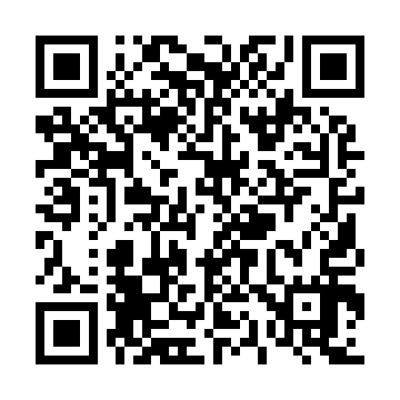 QR code for T11917