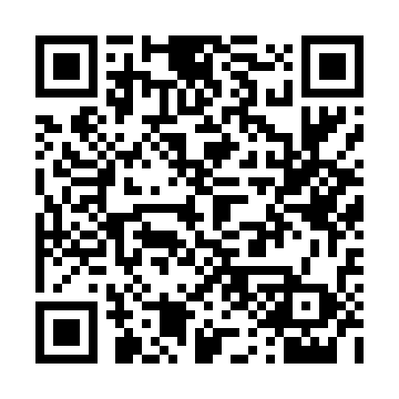 QR code for T12438