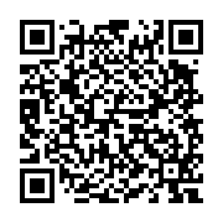 QR code for T12495