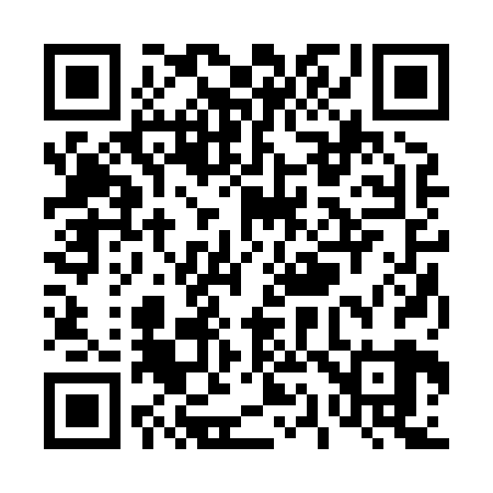 QR code for T12829