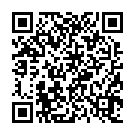 QR code for T13206