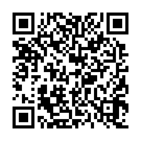 QR code for T13318