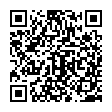 QR code for T13340