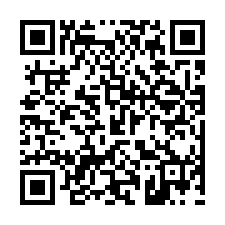 QR code for T13540