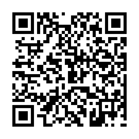 QR code for T13716