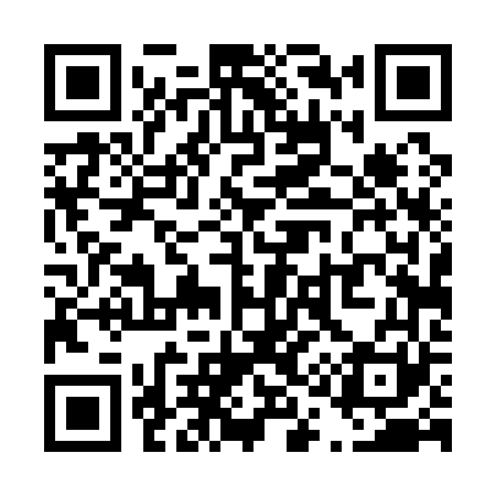 QR code for T14161