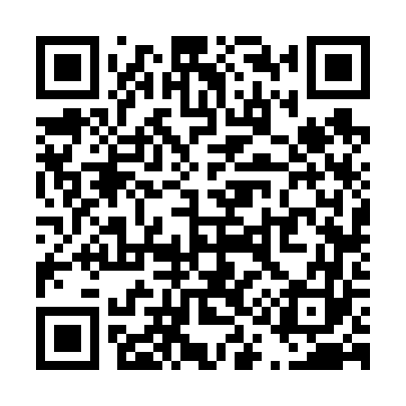QR code for T16663