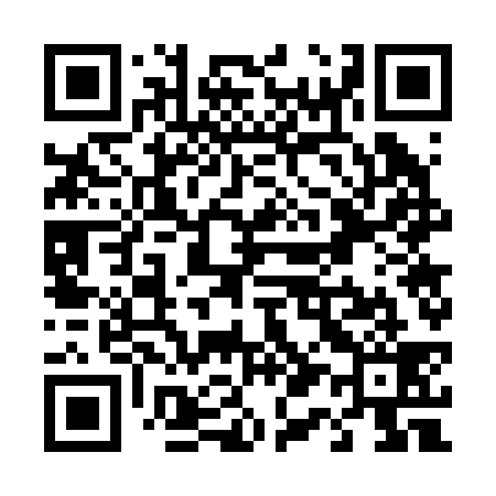 QR code for T17239