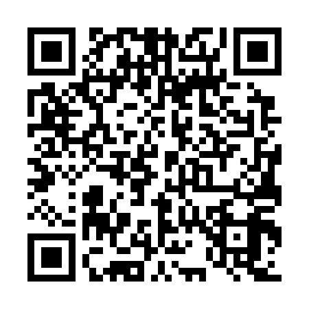 QR code for T173194