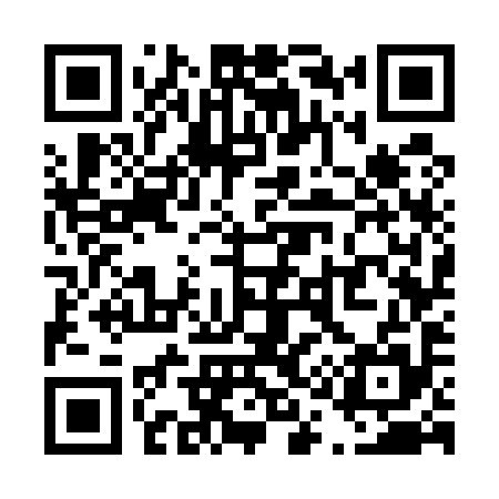 QR code for T17595