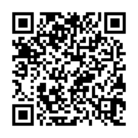 QR code for T17900
