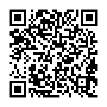 QR code for T17993