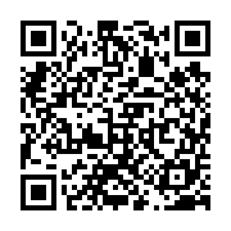 QR code for T19655