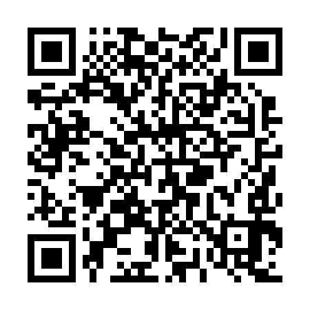 QR code for T20293