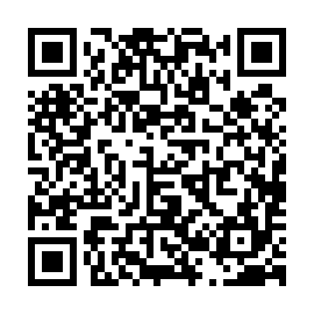 QR code for T20594