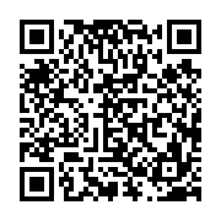 QR code for T20636