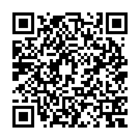 QR code for T212727